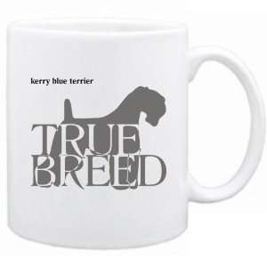  New  Kerry Blue Terrier  The True Breed  Mug Dog 