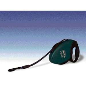  FLXI GIANT BELT LEAD GREEN 26