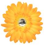 Crystal Gerber Daisy Flower Clip     
