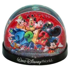 2012 Walt Disney World Dome Snowglobe 