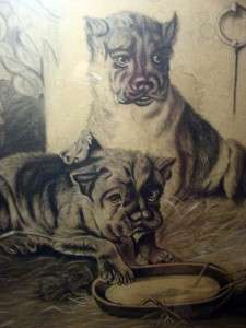 ANTIQUE STAFFORDSHIRE TERRIER DOG/PUPPY PASTEL 1800S OLD PAINTING 