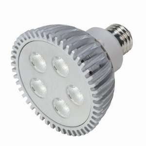   LED PAR30 Lamp in Silver Beam Angle 40°, Color Temperature 6500K