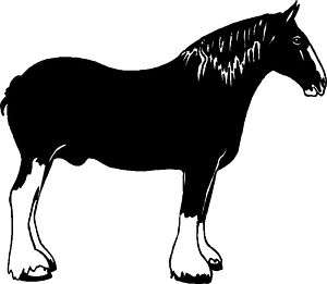 Draft Horse Sticker Clydesdale,Belgian,Percheron,Shire  