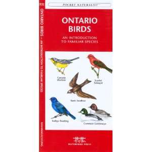  Waterford Ontario Birds Patio, Lawn & Garden