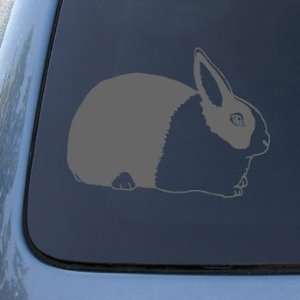 DUTCH RABBIT   Bunny   Vinyl Car Decal Sticker #1510  Vinyl Color 