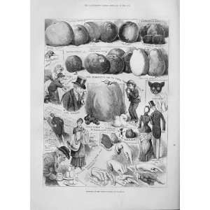  Big & Small Apples At Apple Congress Chiswick 1883