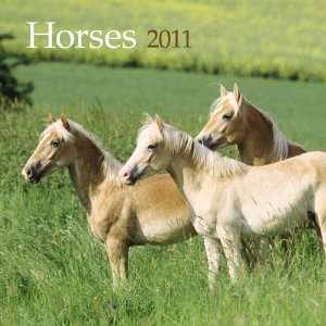  Horses 2011 Mini Wall Calendar