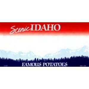 Idaho State Background Blanks FLAT   Automotive License Plates Blanks 