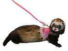 Ferret Toy Dog Fashion Harness Lead Pink Stripes with Lace