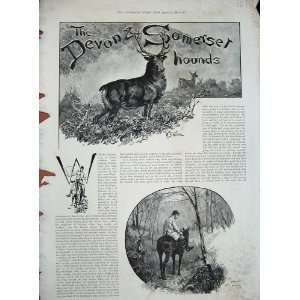  1894 Devon Somerset Hounds Hunting Sport Horse Stag
