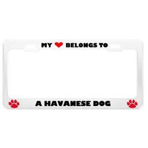  A Havanese Dog Pet White Metal License Plate Frame Tag 