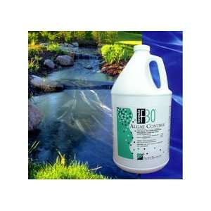  Algae Control for Lakes, 1 gallon