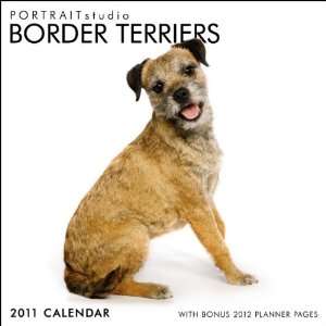  Portrait Studio Border Terriers 2011 Wall Calendar 12 X 