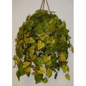  Large Potato Leaf Hanging Basket