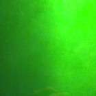 Powder Coating Coat Paint Transparent Candy LIME GREEN (1LB)   New 