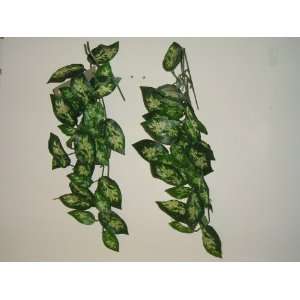  Green and White Oval Leaf Vine Greenery ( 2 Pieces 