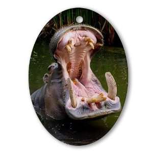  Hippo   Open Wide   Dentist Oval Ornament by  