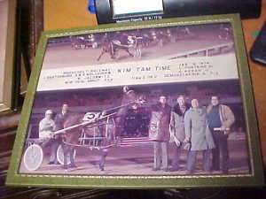 Roosevelt Raceway 1974 Kim Tam Time Horse Winner Photo  