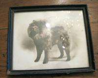 Vintage Black Chow Chow Dog Real Photo Photograph Framed  