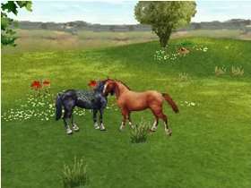 Horse Life 2 Freunde für immer Nintendo DS  Games