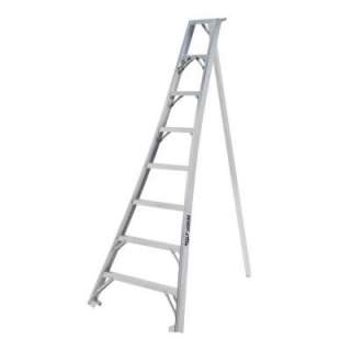 LITE 10 ft. Aluminum Orchard Ladder LP 9410 