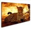 Leinwandbild Leopard Bild 100x70cm k. Poster / Weitere Bilder 
