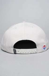 HUF The Hell City Junkies Snapback Hat in Heather Grey Spruce Green 