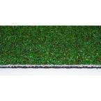 ProPutt Synthetic Golf Green Putting Turf, Sold by 15 ft. Wide Rolls x 