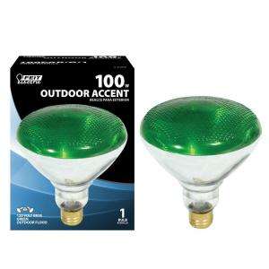 Feit Electric 100 Watt PAR38 Green Flood Incandescnet Light Bulb 