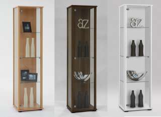 Bora Wall Mounted Glass & Wood Display Cabinet Shelving  