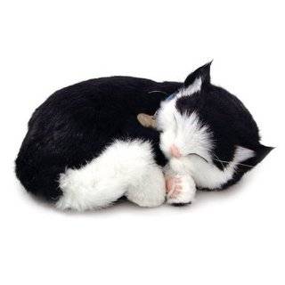    CatNap Kitties Plush Stuffed Kitty Cat in White Toys & Games