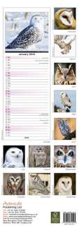 owls slim calendar 2012 features 12 months and 12 full colour 