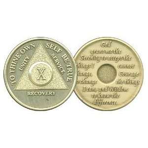   AA Birthday   Anniversary Recovery Medallion / Coin 