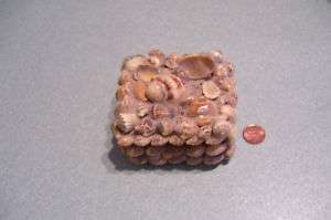 Vintage Sea Shell Art on Wood Jewelry Trinket Box  