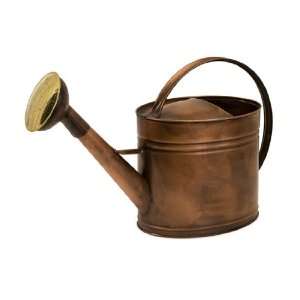 12 Antique Style Rustic Copper Colored Decorative Garden Watering Can 