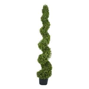   Pre Potted 5 Leucadendron Artificial Topiary Trees