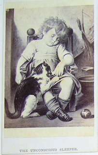 1864 CDV CAT, Baby Unconscious Sleeper FANCY FILLER  