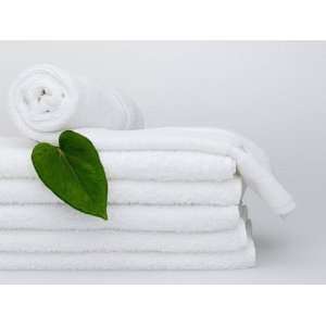  6 Piece Cotton Hand Towel Set