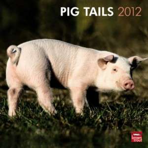 Brand New Cute Pig Tails 2012 Square Wall Calendar  
