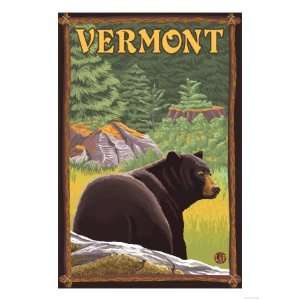  Vermont   Black Bear in Forest Premium Poster Print, 24x32 