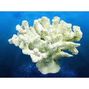  Deep Blue Pro Coral Replica Branch Coral 7.5X6.5X5 Inches 