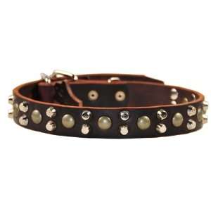 Dean & Tyler Leather Dog Collar Bumps & Bits   High Quality Leather 