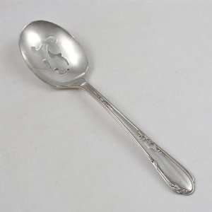  Meadowbrook by William A. Rogers, Silverplate Relish Spoon 