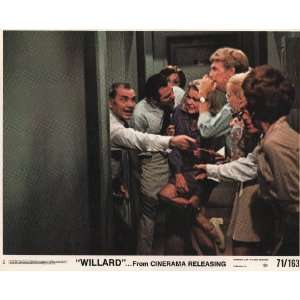 Willard (1971 Rat Classic)   Bruce Davison, Ernest Borgnine, Sandra 