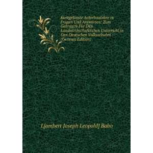   Volksschulen (German Edition) L[ambert Joseph Leopold] Babo Books