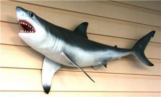 NEW Great White Shark Replica MOUNT 48 inch  worldwide  