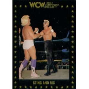   Collectible Wrestling Card #52  Sting vs Ric Flair