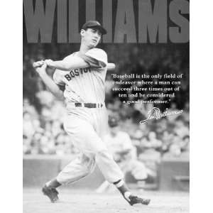 Ted Williams   Baseball , 12x16