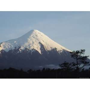 The Snow Capped Top of Osorno Volcano Towers over the Nearby Forest 