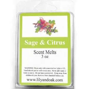  Sage and Citrus Scent Melts  Discontinued
